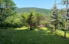 Cabane A frame + Teren 6000 mp |  Proprietate deosebita, NOU - 10