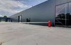 Reprezentanta PREMIUM| Hala Showroom 988mp, locatie exceptionala! - 19
