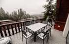 Cabana A-frame 5 camere la Belis / Business functional si profitabil - 16