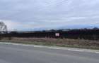Teren 50000mp Extravilan-Intrare Halchiu-Cod 5235 - 2