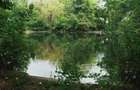 Giurgiu,Izvoru Vânatorii Mici,Domeniu privat de 6,3 H cu Lac, Izvoare și Insulă - 5