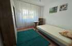 Apartament 2 camere, decomandat, mobilat si utilat modest, Gemenii - 6