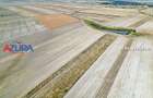 Teren agricol, 5HA, comasat, drum acces, Cateasca - 6