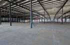 COMPLEX INDUSTRIAL & COMERCIAL PREMIUM | ILFOV
