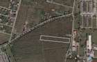 Teren extravilan, 6.510mp, Simeria, Sfantu Gheorghe - 5