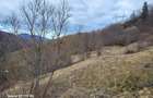 Teren, Zona de Interes Turistic-Cheile Gradistei,  8800mp - 9