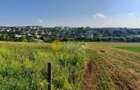 🏡 Teren intravilan Valea Adanca – Zona 5 Drumuri 🌿 - 6