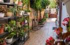Vânzare casă la curte, sector 1, București(zona Piața Victoriei) - 15