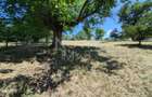 Casa individuala cu teren generos – 8.356 mp – Tichindeal, jud. Sibiu - 48
