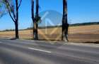 Vanzare teren Buftea TAMAS acces Autostrada A0 si Centura ocolitoare Buftea - 6