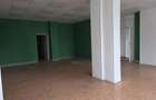 SPATIU COMERCIAL CENTRAL - 5