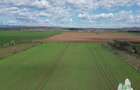 Vanzare Teren intravilan 24611 mp, Ideal retail, logistica, birouri - 1