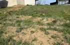 Teren intravilan, 500 mp, zona Dumbrava 2 - 1