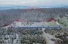 Teren 5,700mp Somcuta Mare / investitie cu potential major - 11