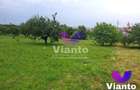 Teren intravilat| Zona rezidentila 1156 mp-TURNISOR - 5