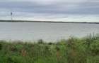 eforie sud- flamingo - 1