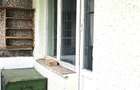 Apartament 2 camere, etaj 4 acoperit cu pod, zona Scoala nr.10, Precista - 7