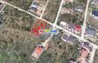 Mogosoaia 854 Mp (Ideal Investitie) - str. Eugen Barbu - 14
