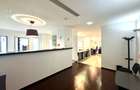 Business Hub Petre Ispirescu - 6 camere - 5