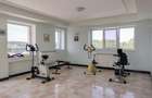 Vila cu iesire la lac Snagov  proprietar - 14