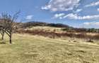 Vanzare teren intravilan- livezi - 5