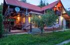 Casă / Vilă deosebită în SUCEVIȚA - 4