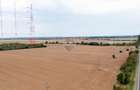 Teren intravilan  10.000mp Ciolpani, acces direct din DN1 - 2