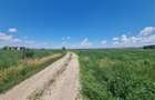 Teren Arabil 2.75 Ha
