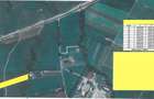 Investitie: 1 Ha Teren intre Rasnov si Bran, Panorama Bucegi - 6