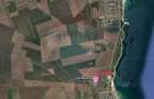 Teren intravilan 3 ha Vama Veche - 3