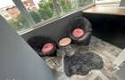 Vand apartament complet renovat , zona Guliver!!! - 4