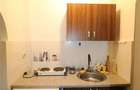 Garsoniera, Pet Friendly - 4