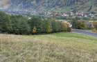 Teren extravilan cu priveliste catre Bucegi – Moieciu de Jos 4.700 mp - 14