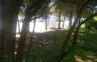 Teren intravilan 719 m.p Timisoara, Bv. Take Ionescu 59 - 1