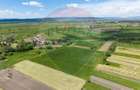 Teren 25.100 mp cu potențial major de dezvoltare în Prejmer - 8