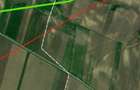 Teren de vanzare per mp-zona Tg Frumos langa autostrada A8 - 5