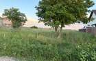 Teren intravilan 1.500 mp de vânzare – Strada Castanului, Tunari - 6