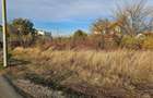 Teren 20.000 Mp |  Penny Market | Otopeni | Negociabil | - 3