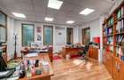 Parcul Carol - Casa cu 11 camere, 250 mp - 5
