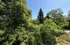 Vila cu 13 camere *4000mp teren* / Piscina / Snagov - 59