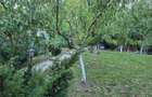 Moreni , Dambovita , vanzare proprietate -casa si teren