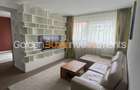 Apartament 2 camere Herăstrău - 2