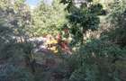 0% Apartament 3 camere, 64 mp, et.2/4, zona Biomedica-Grigorescu - 18