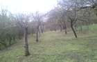 Casa de vanzare in loc. Izvoarele, com. Livezile, jud. Alba - 12