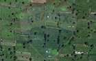 Teren intravilan de vanzare , 1000 mp, parcelabil, Islaz - 3