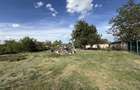 CASA CU TEREN 1230 MP | ACCES AUTO | ZONA SALARD | BIHOR - 12