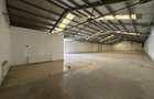 Hala de la 265mp la 530mp, centura, Tatarasi, intre Lidl si Kaufland - 5