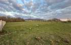 Bocsa Romana, 2 terenuri intravilan, 10.000 Mp.(59.900 Euro) si arabil, 80.000 M - 10