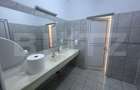 Spatiu de birouri modern, 480mp, 10 locuri de parcare, cartier Brazda lui Novac - 19