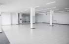 Delfinariu - bd. Mamaia, spatiu comercial , 325 mp. - 6